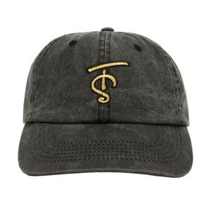 Brand new TS Dad hat - Taylor Swift Speak Now